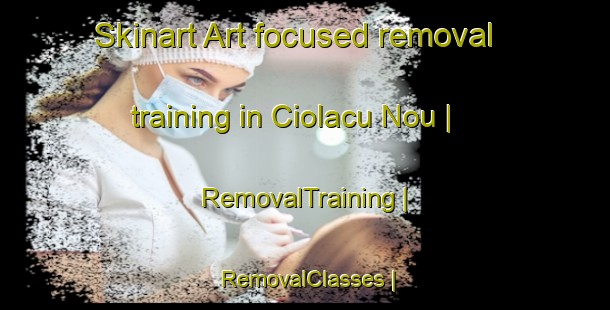 Skinart Art-focused removal training in Ciolacu Nou | RemovalTraining | RemovalClasses | SkinartTraining-Moldova